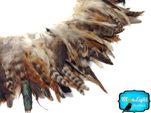 Algopix Similar Product 1 - Rooster Feathers Natural Black and