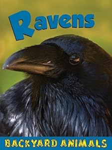 Ravens