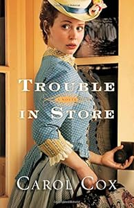 Trouble in Store: A Novel