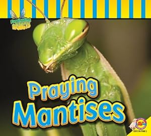 Praying Mantises