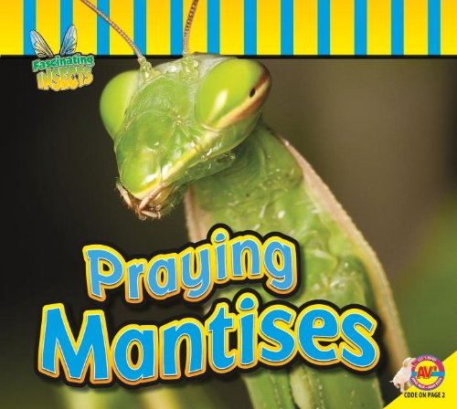 Praying Mantises by Aaron Carr