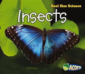 Insects: Real Size Science