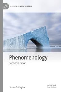 Phenomenology (Palgrave Philosophy Today)