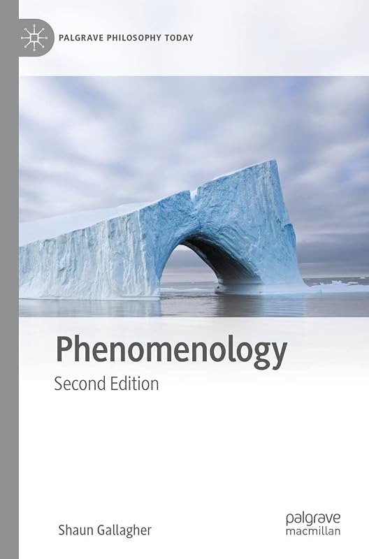 Phenomenology (Palgrave Philosophy Today) by Shaun Gallagher