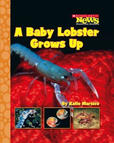 A Baby Lobster Grows Up (Scholastic News Nonfiction Readers: Life Cycles) by Katie Marsico