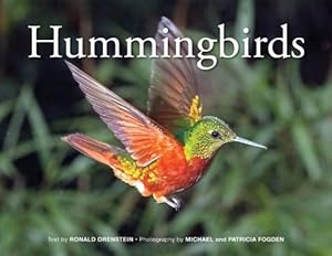 Hummingbirds by Ronald I. Orenstein