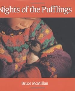Nights of the Pufflings