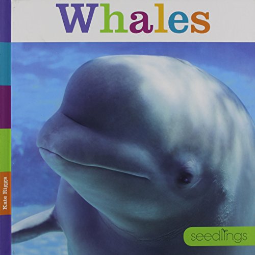 Seedlings Whales by Kate Riggs