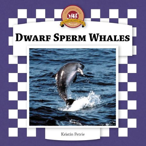 Dwarf Sperm Whales (Whales Set II) by Kristin Petrie