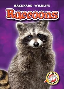 Raccoons