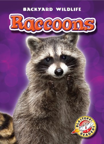 Raccoons by Emily Green