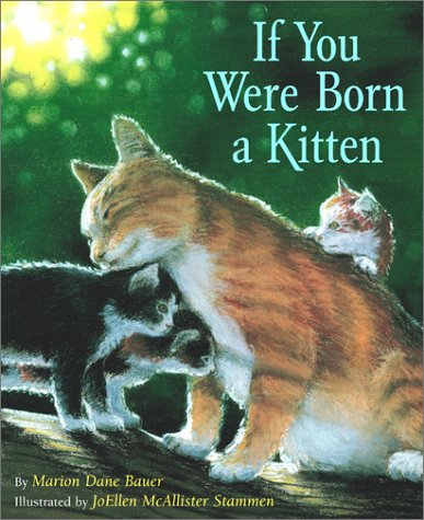 If You Were Born A Kitten