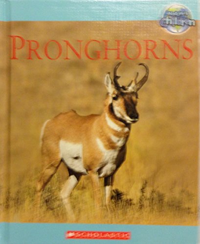 Pronghorns by Tom Jackson