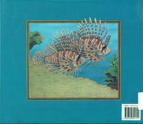 Sea Sums by Joy N. Hulme