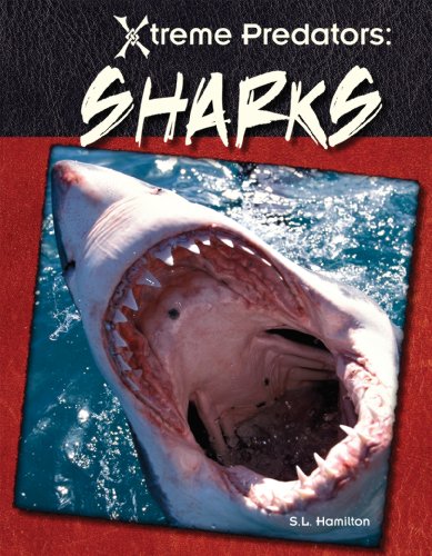Sharks by S. L. Hamilton