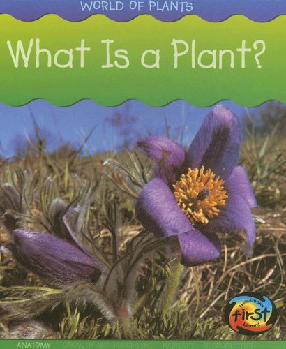 What Is a Plant? (Heinemann First Library) by Richard Spilsbury
