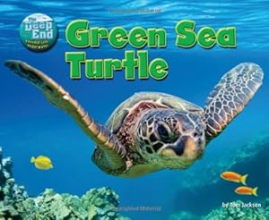 Green Sea Turtle