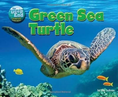 Green Sea Turtle