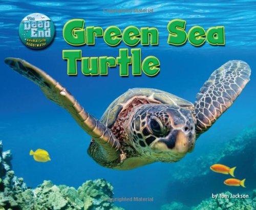 Green Sea Turtle by Tom Jackson