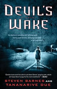 Devil's Wake: A Novel