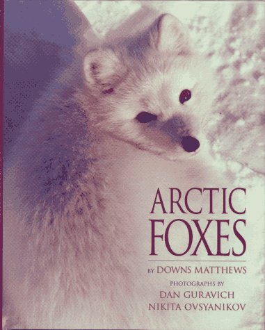 Arctic Foxes by Downs Matthews