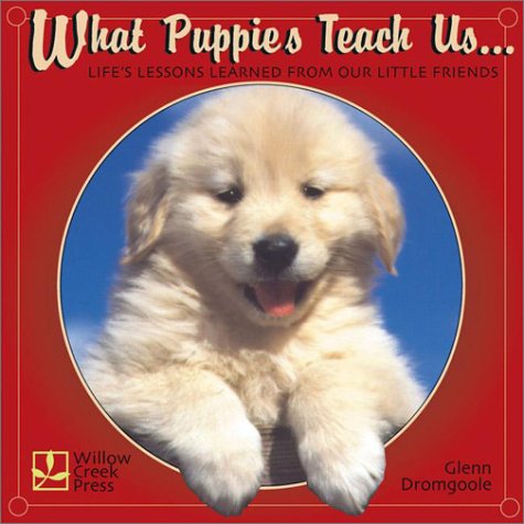What Puppies Teach Us: Life's Lessons Learned from Our Little Friends by Glenn Dromgoole