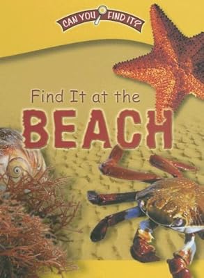 Find It at the Beach (Can You Find It?)