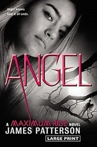 Angel: A Maximum Ride Novel