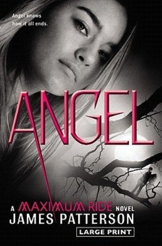 Angel: A Maximum Ride Novel by James Patterson