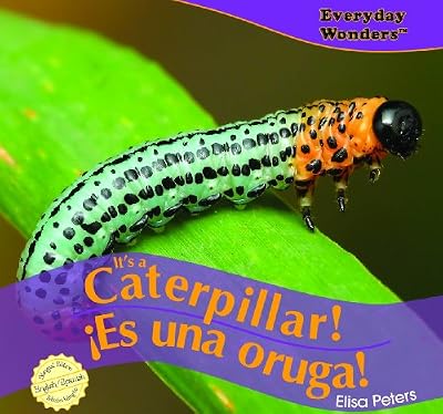 It's a Caterpillar! / ¡Es una oruga! (Everyday Wonders / Maravillas De Todos Los Días) (Spanish Edition)