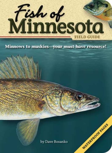 Fish of Minnesota Field Guide (The Fish of) by Dave Bosanko