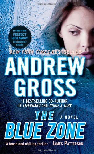 The Blue Zone by Andrew Gross