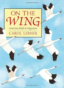 On the Wing: American Birds in Migration