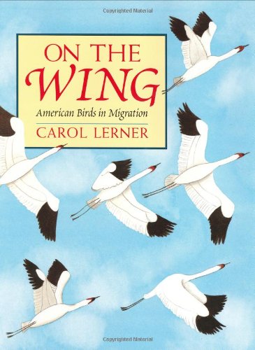 On the Wing: American Birds in Migration by Carol Lerner