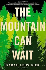 The Mountain Can Wait by Sarah Leipciger