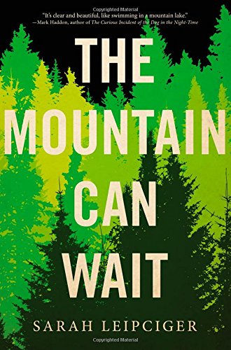 The Mountain Can Wait by Sarah Leipciger