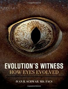 Evolution's Witness: How Eyes Evolved by Ivan  R Schwab