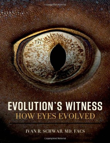 Evolution's Witness: How Eyes Evolved by Ivan  R Schwab