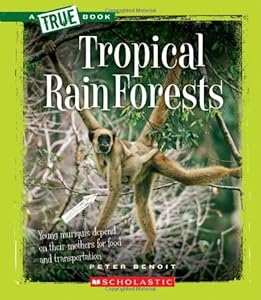 Tropical Rain Forests
