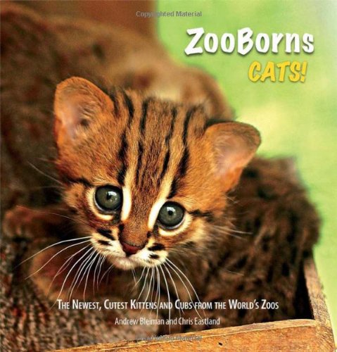 ZooBorns Cats!: The Newest, Cutest Kittens and Cubs from the World's Zoos by Andrew Bleiman