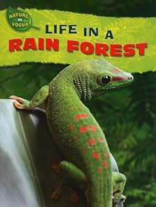 Life in a Rain Forest (Nature in Focus)
