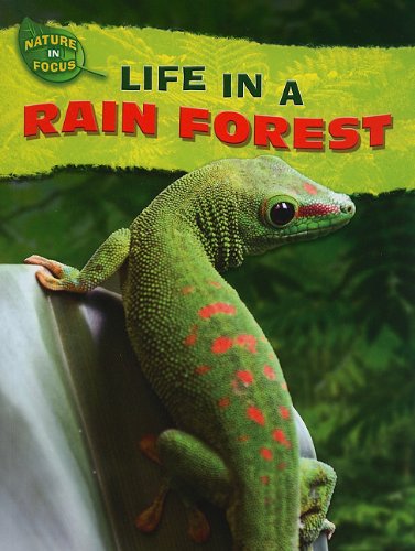 Life in a Rain Forest (Nature in Focus) by Lorien Kite