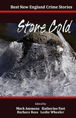 Best New England Crime Stories 2014: Stone Cold