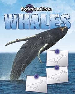 Whales: Drawing and Reading
