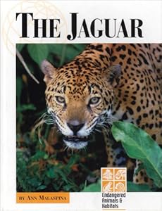 The Jaguar (Endangered Animals and Habitats)