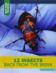 12 Insects Back from the Brink