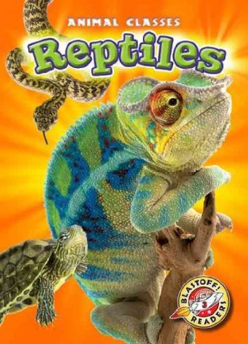 Reptiles by Kari Schuetz
