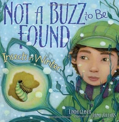 Not a Buzz to Be Found: Insects in Winter