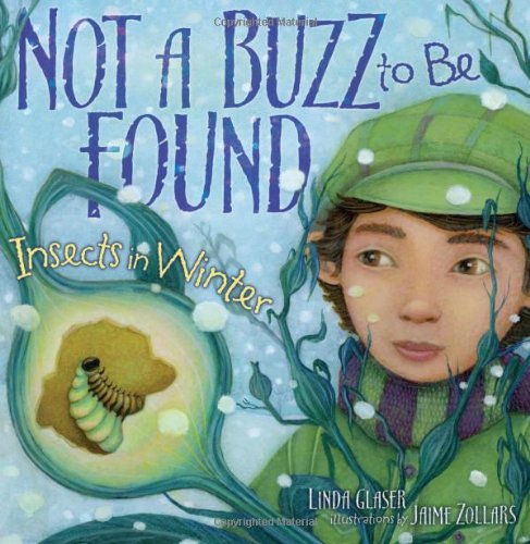 Not a Buzz to Be Found: Insects in Winter by Linda Glaser
