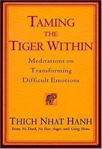 Taming the Tiger Within: Meditations on Transforming Difficult Emotions